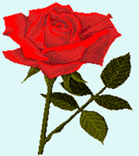 Rose.JPEG